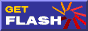 Download Shockwave Plugin